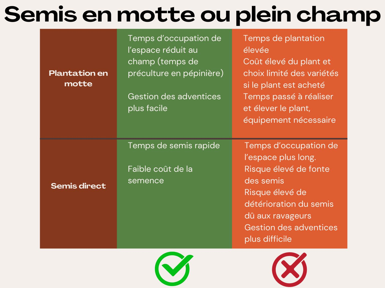 Illustration du guide Épinard