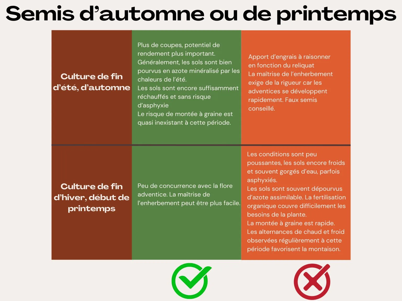 Illustration du guide Épinard