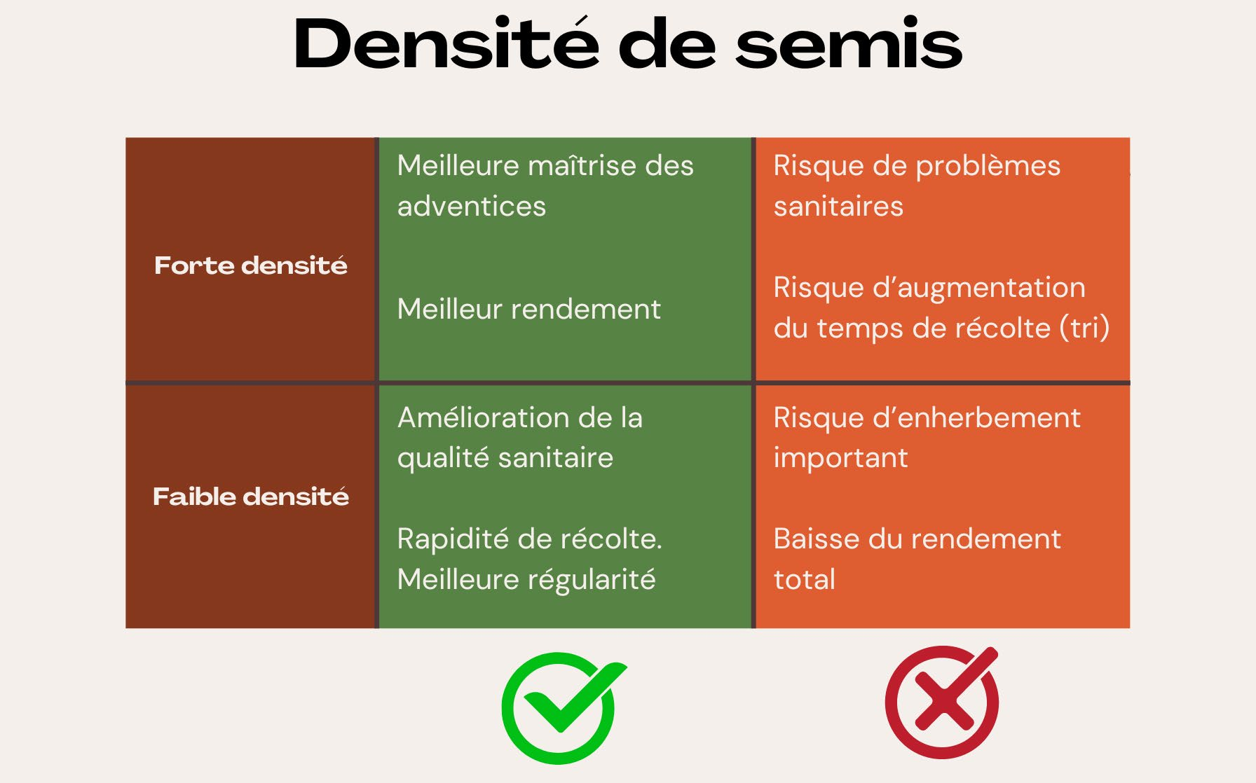 Illustration du guide Radis