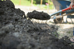 Maraîchage technique - agronomie