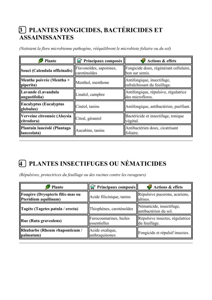 liste des plantes utiles en extraits fermentés en maraichage bio